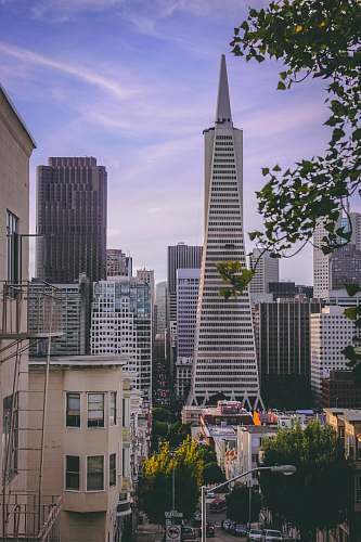 san francisco white high-rise tower surrounded by buildings building